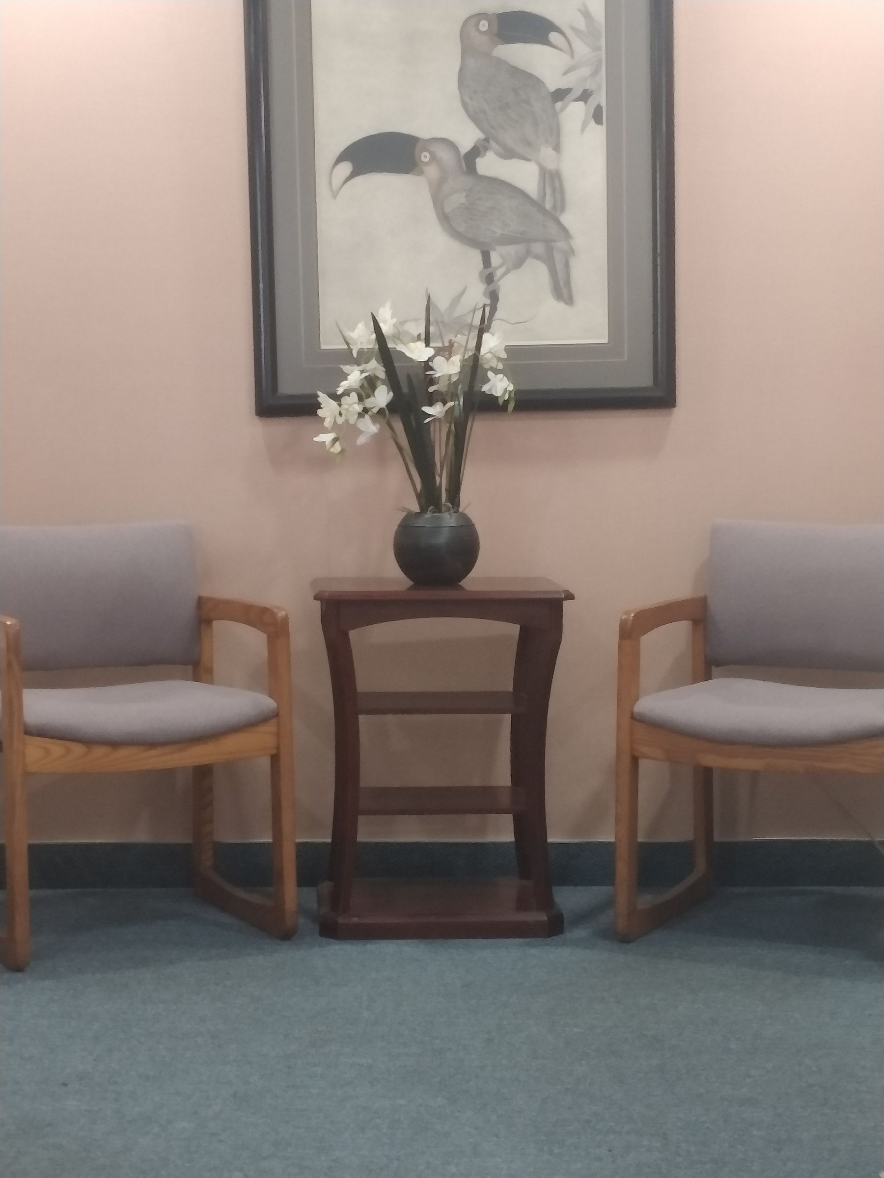 Quiet seating nook with framed bird artwork